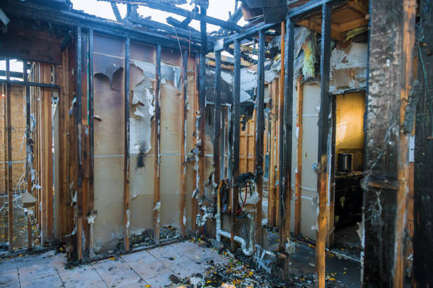 Professional Fire Damage Removal technician working in Folsom, NJ